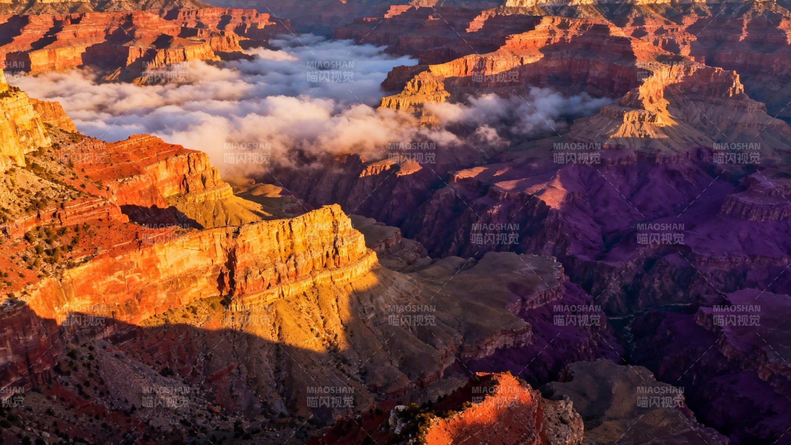 峡谷云海晨光图片