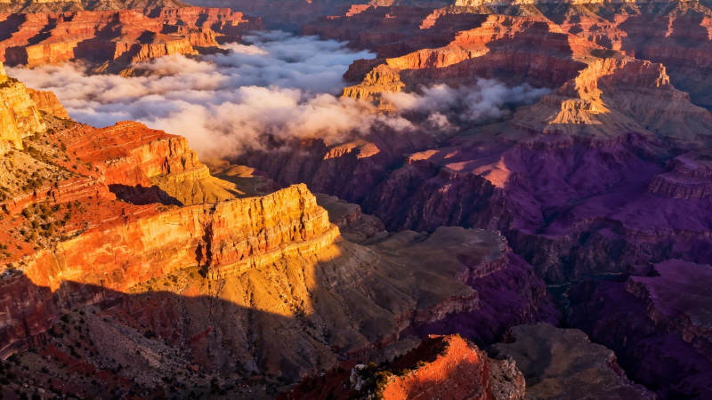 峡谷云海晨光图片