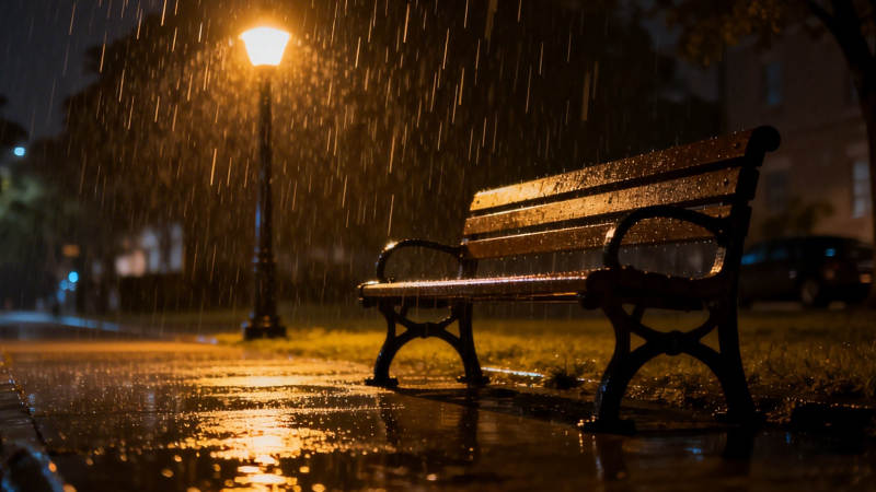 雨夜长椅静谧图片