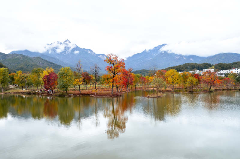 湖北罗田水上红叶湖光倒影图片