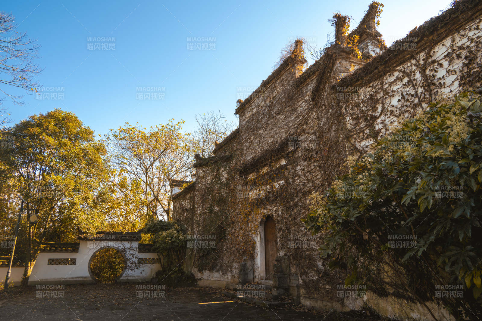 安徽泾县桃花潭西岸古墙秋影图片
