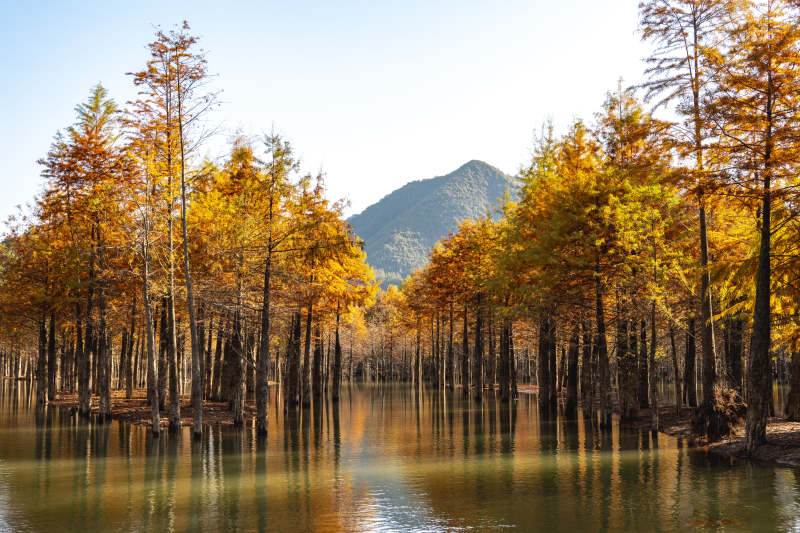 秋林映水 山影如画图片