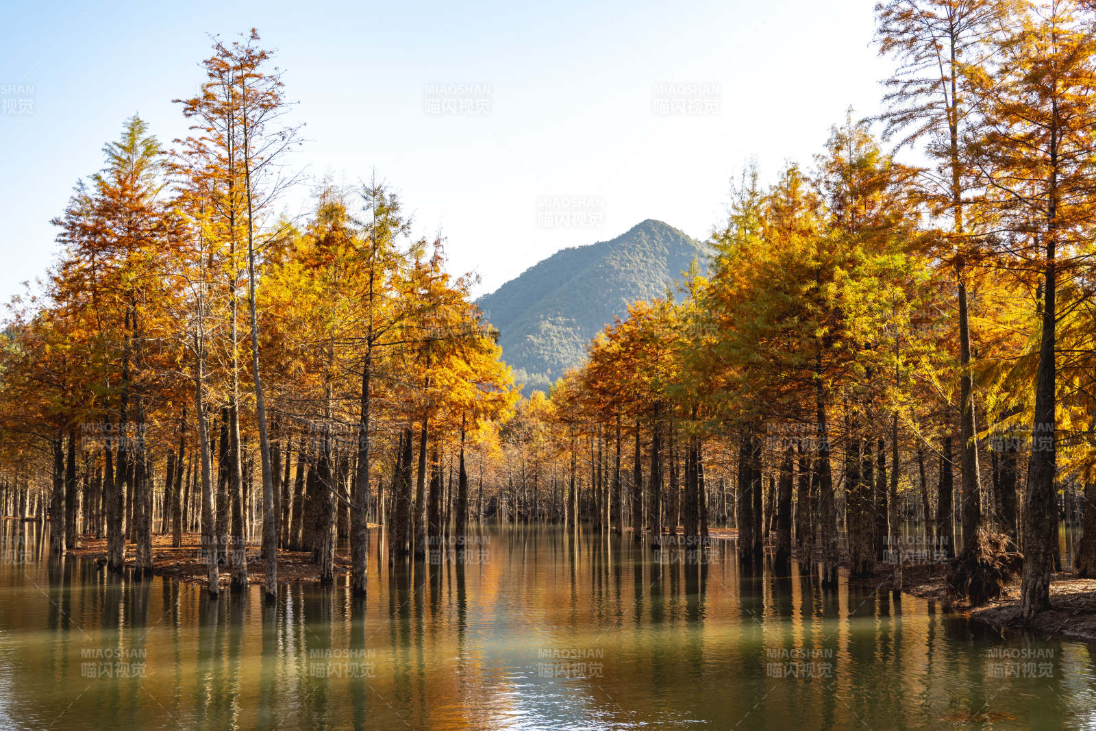 秋林映水 山影如画图片