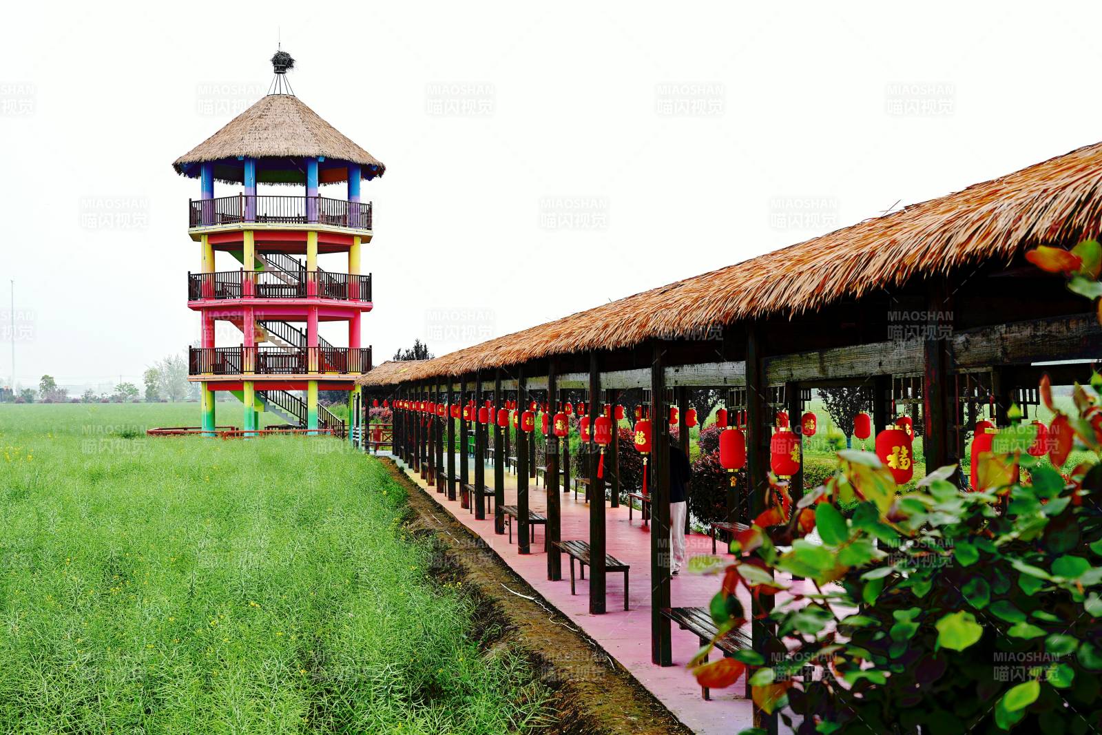 芜湖市白茆镇油菜花景区风光塔廊景图片