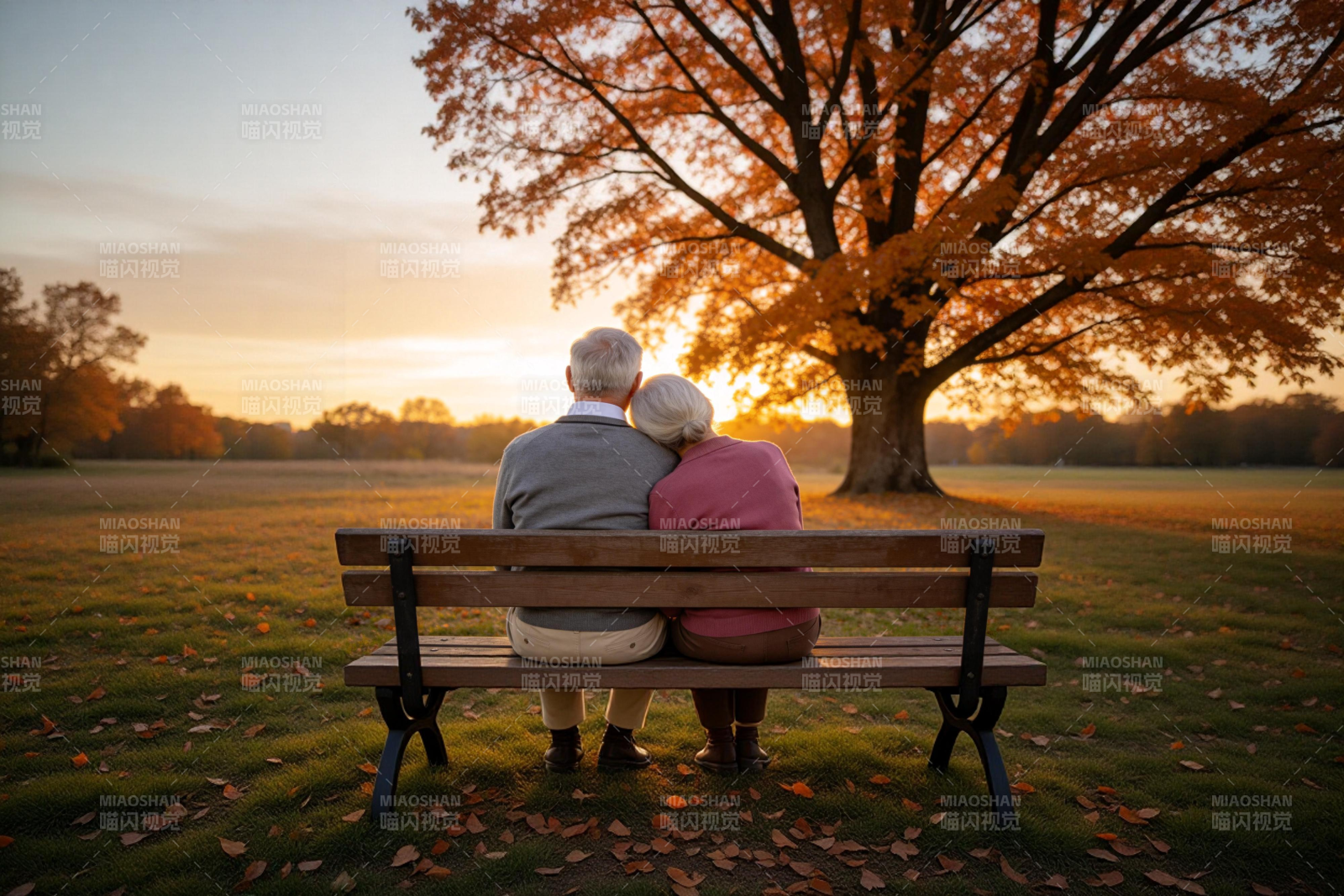 夕阳下的相依图片