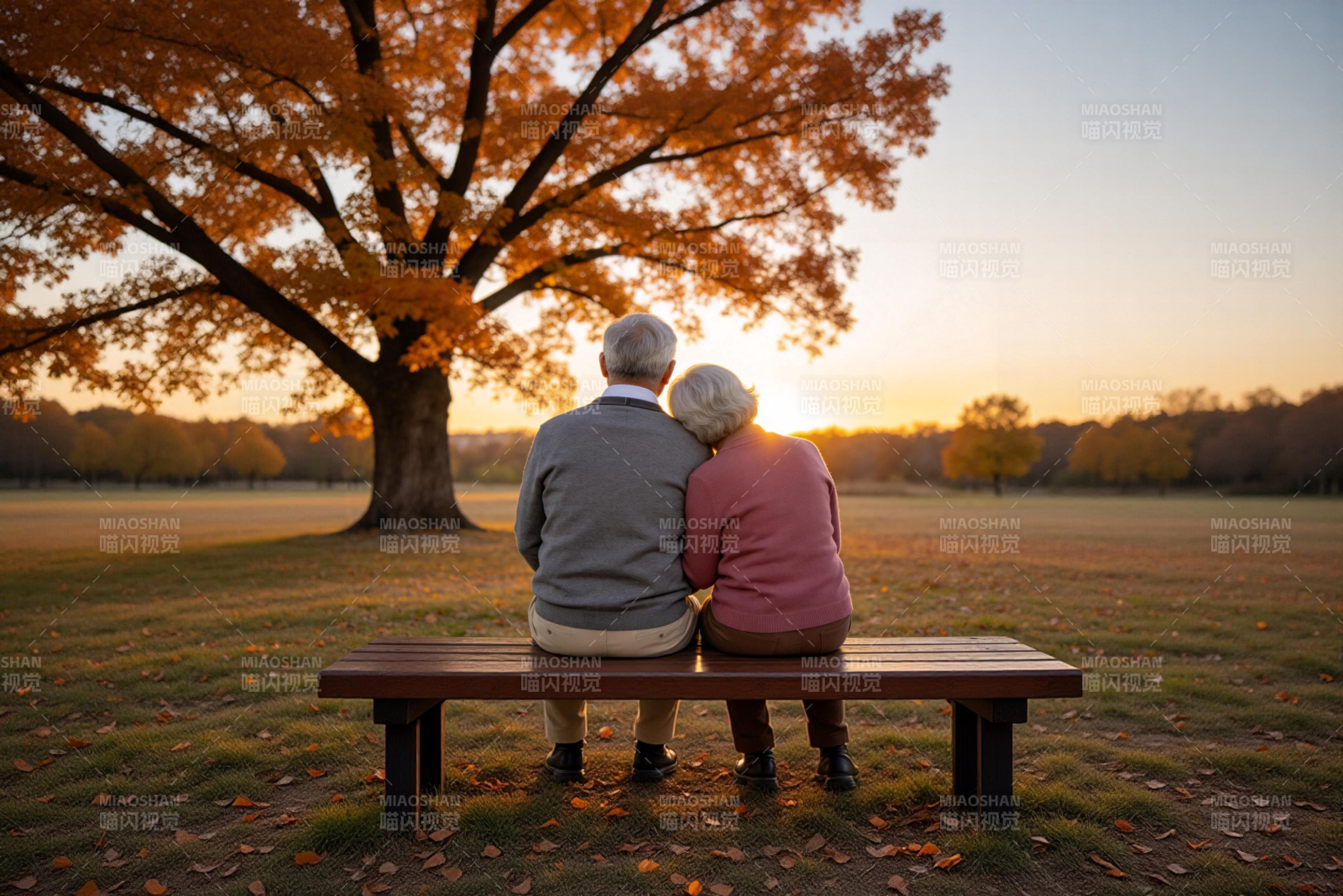 夕阳下的相守图片