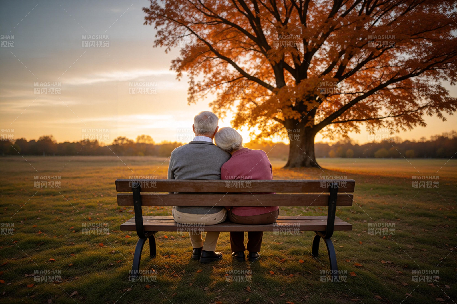 夕阳下的相依相伴图片