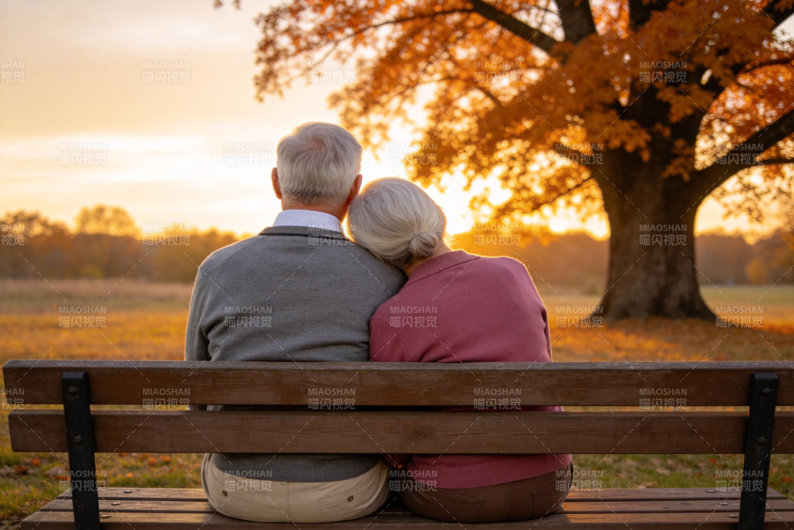 夕阳下的老伴图片