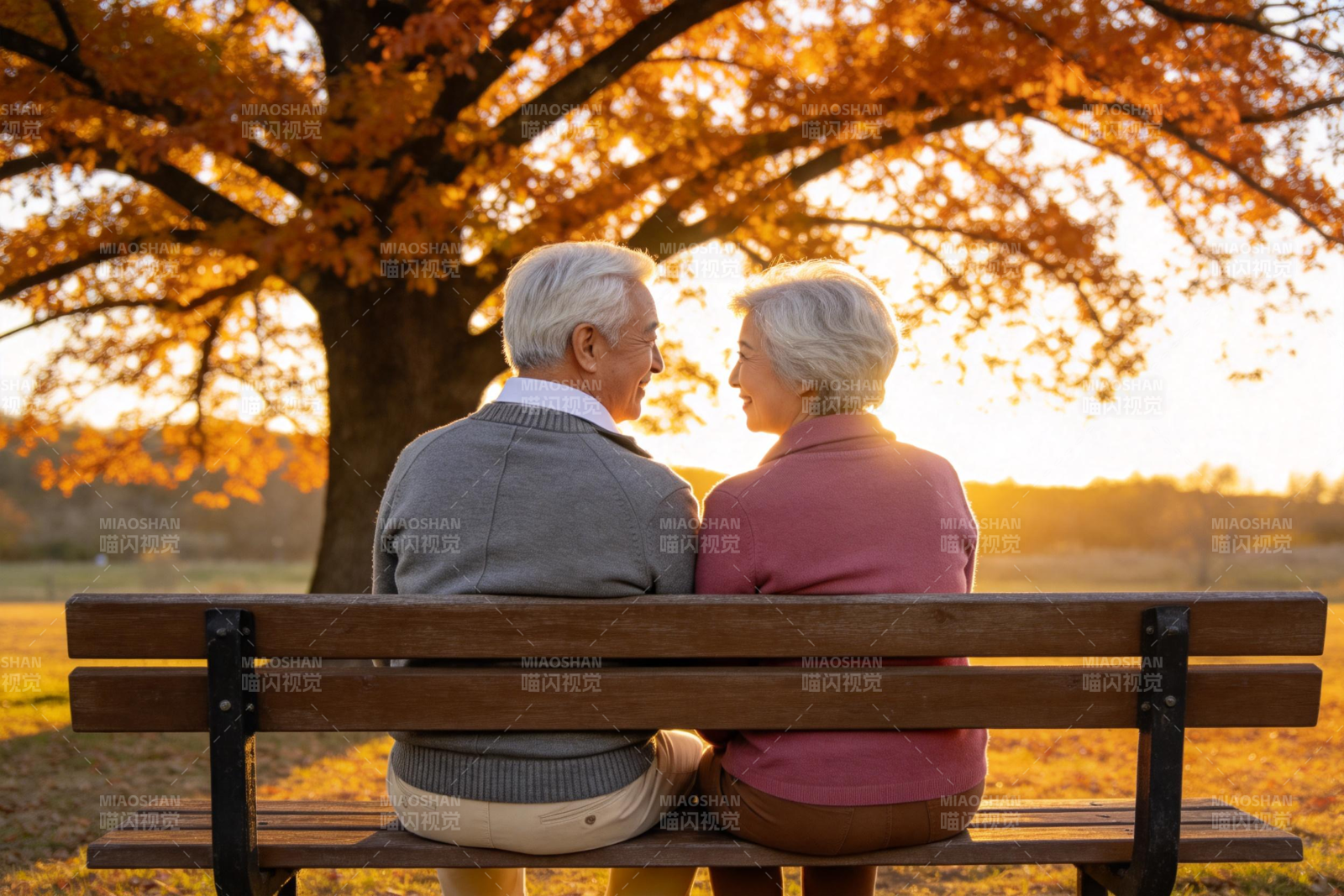 秋日公园老伴共赏图片