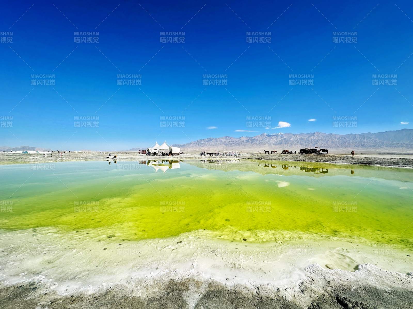 碧绿盐湖映蓝天图片