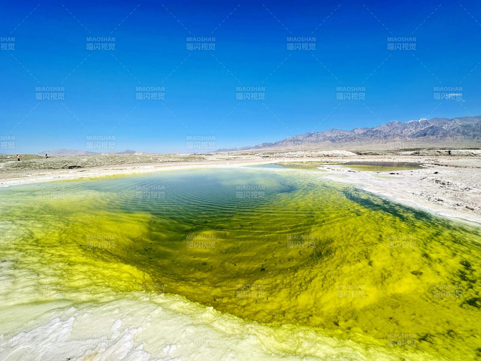 碧绿盐湖映蓝天图片