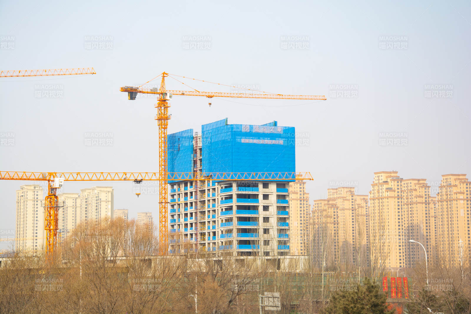 建筑工地塔吊林立图片