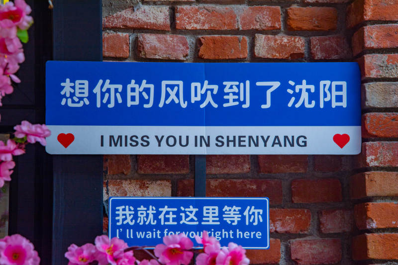 沈阳等你 心在风中图片