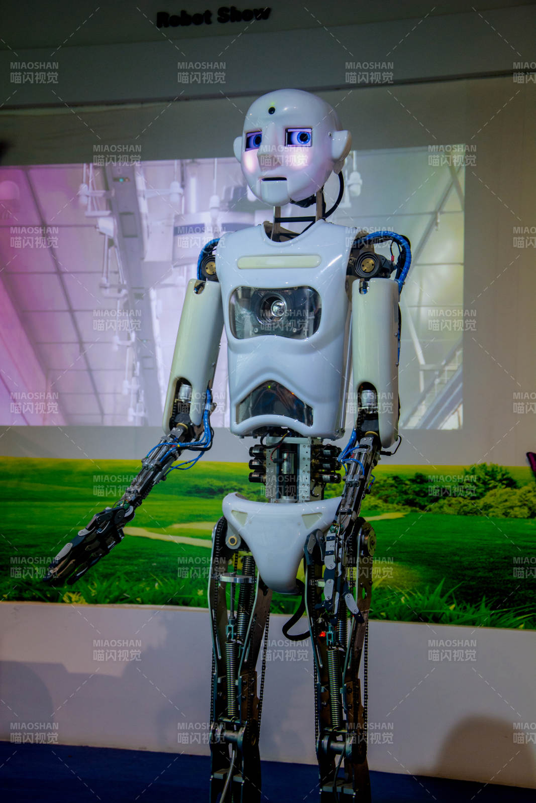 机器人展示图片