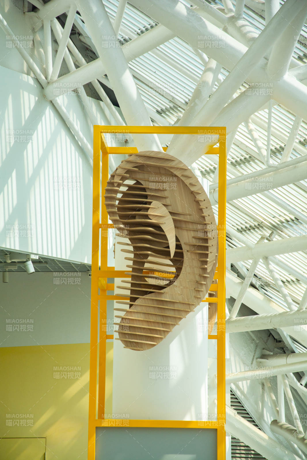 巨耳悬于黄框中图片