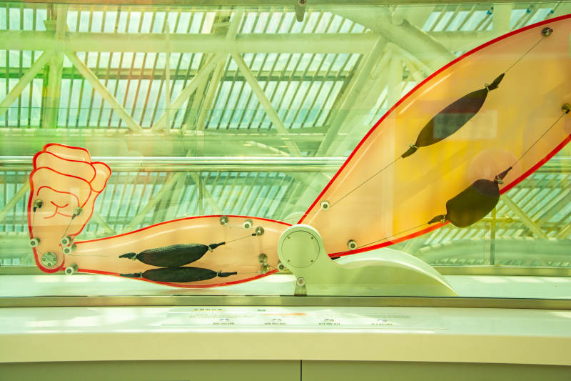 机械臂展示图片