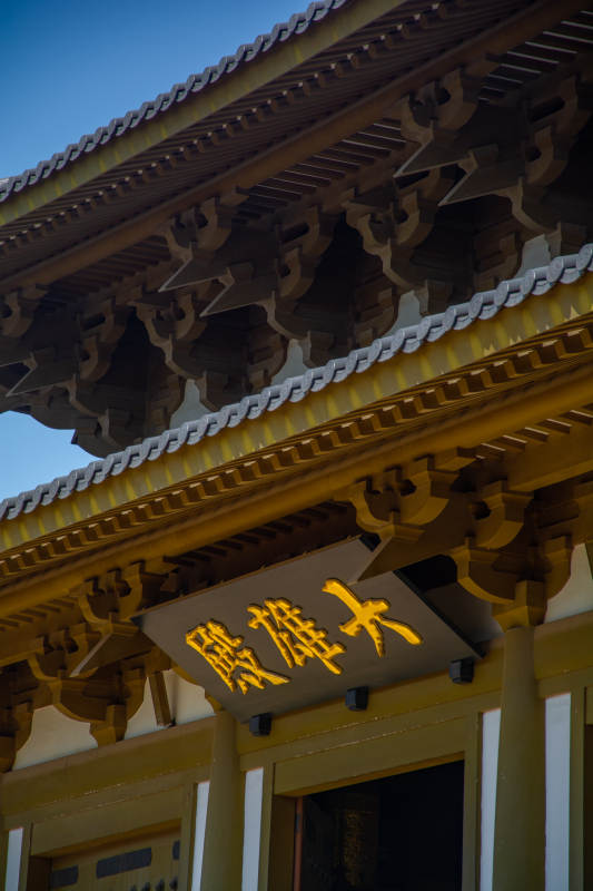 大雄殿前金碧辉煌图片