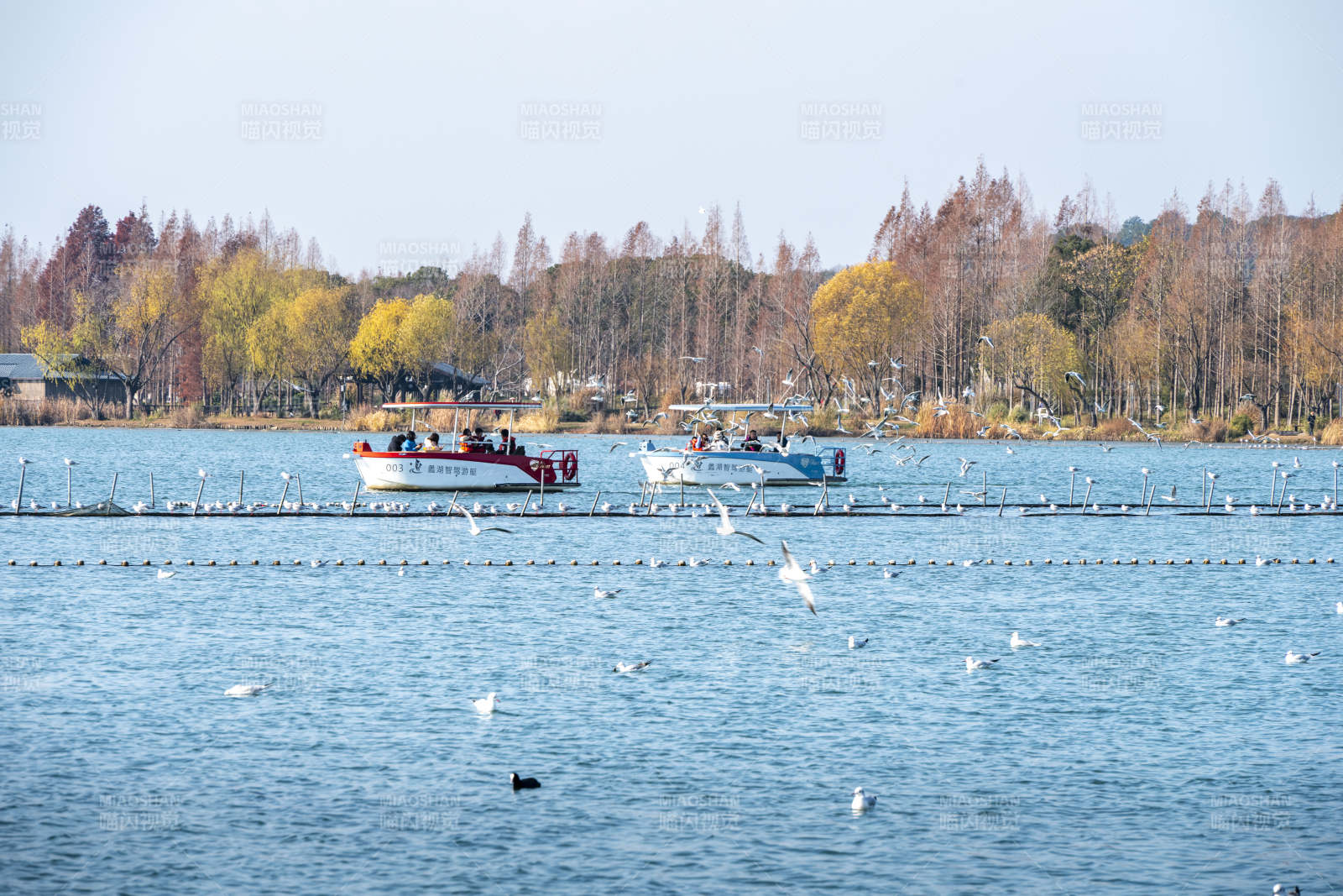 湖上泛舟赏秋景图片