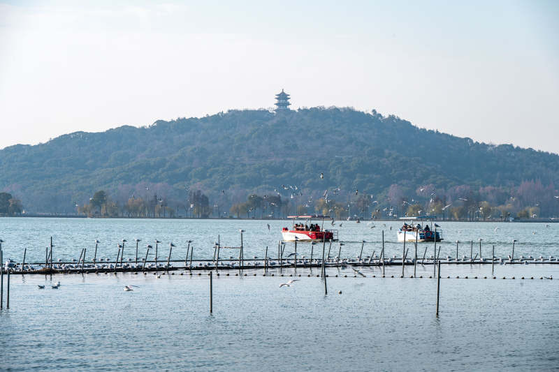 湖光山色映塔影图片