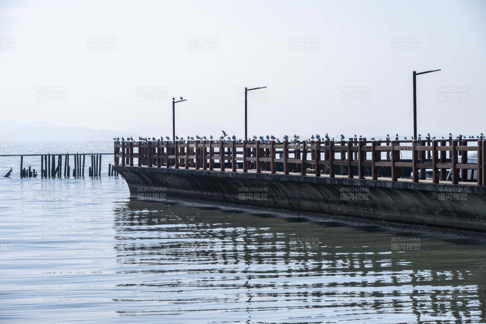 水边长廊栖鸟影图片