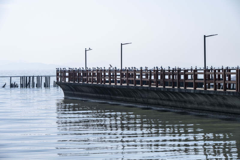水边长廊栖鸟影图片