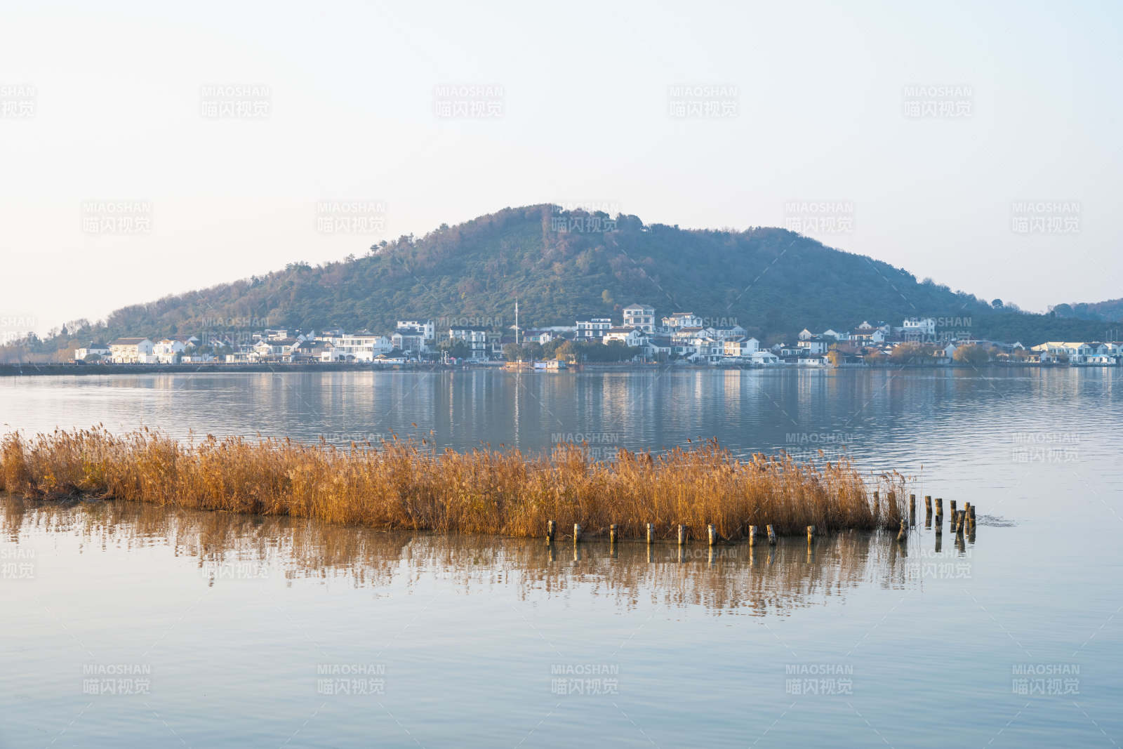 湖畔秋景静谧美图片