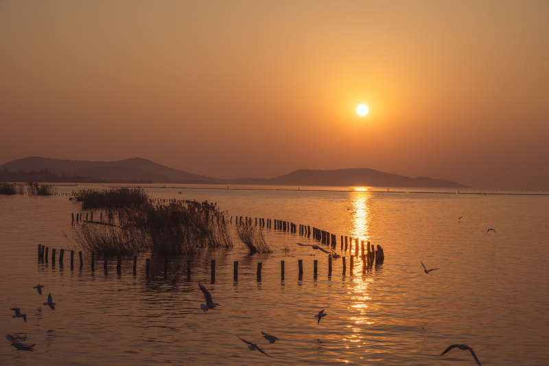 湖畔日落飞鸟归图片