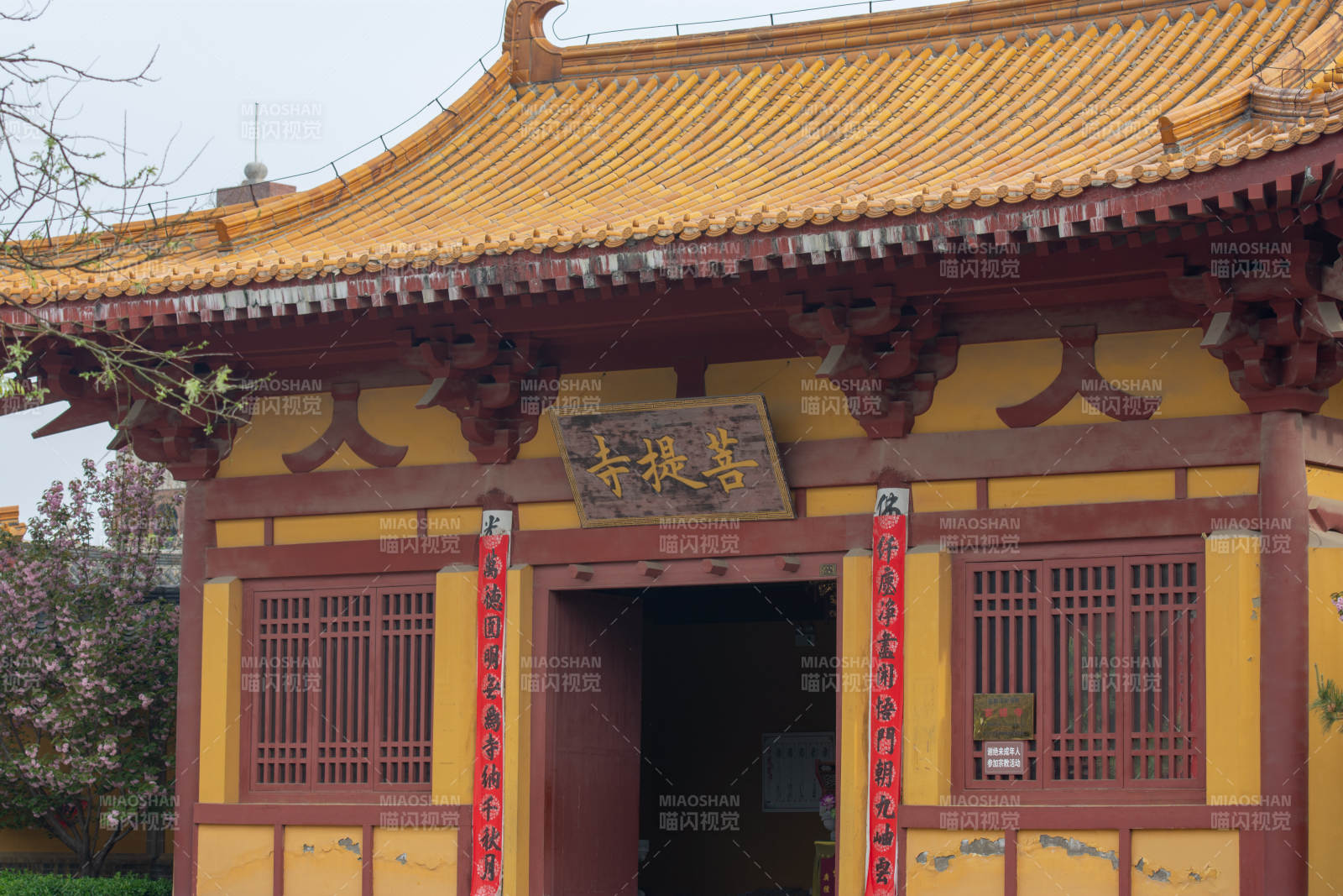 台儿庄古城菩提寺门景图片