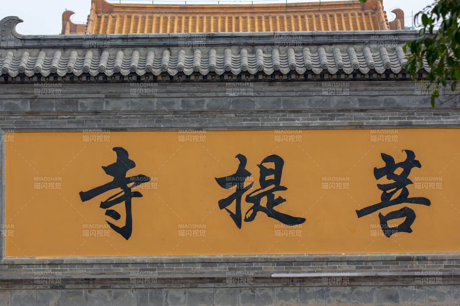 台儿庄古城菩提寺门匾图片