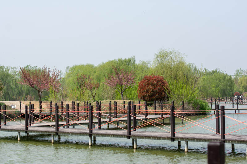 湖畔木桥春景图片