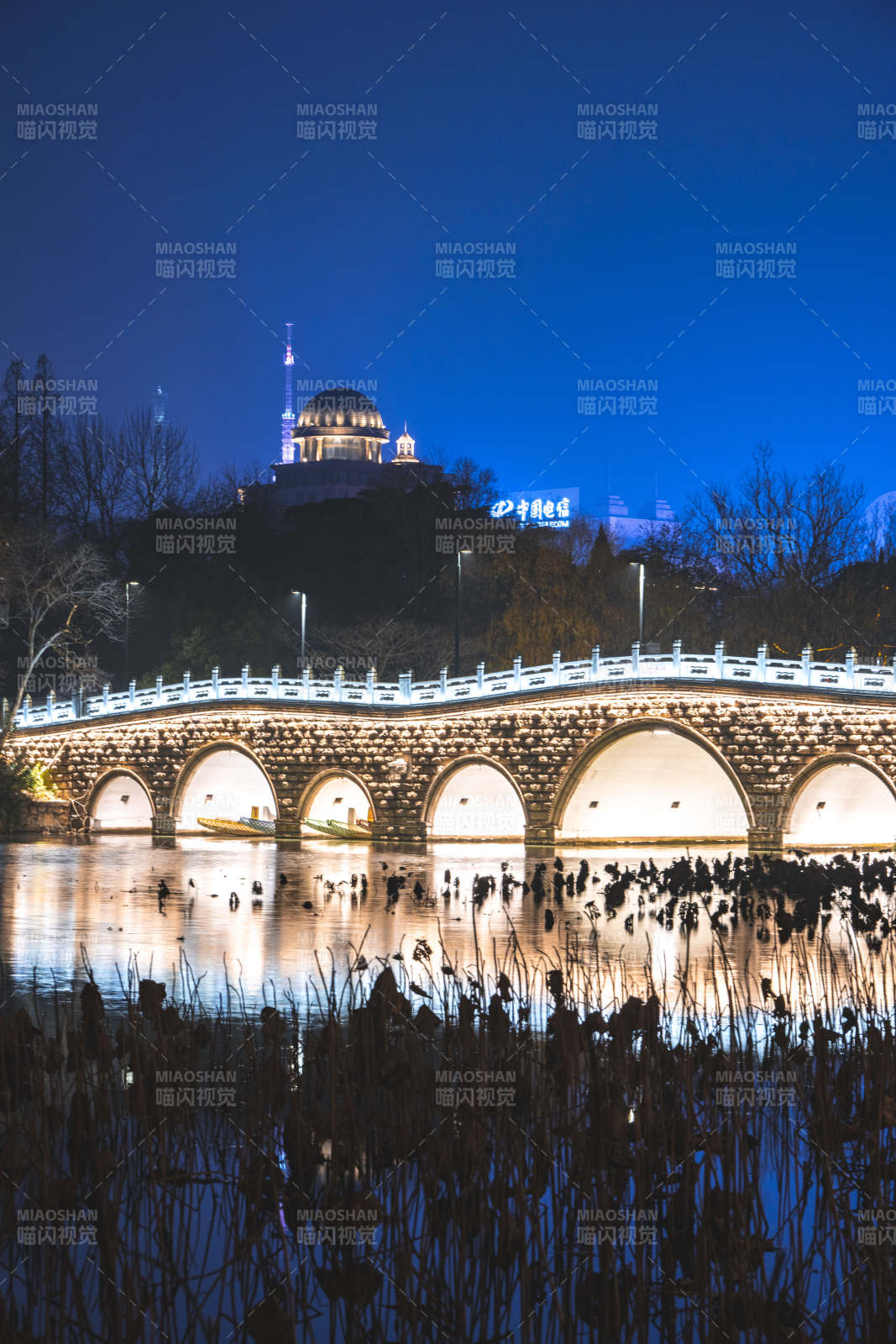 夜桥映水 灯火辉煌图片