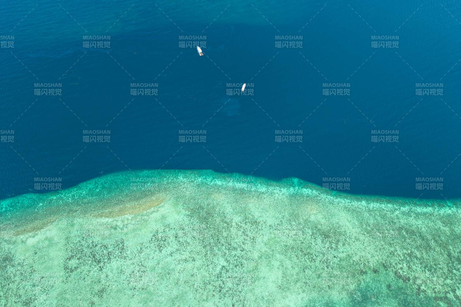 碧海珊瑚礁航拍图片