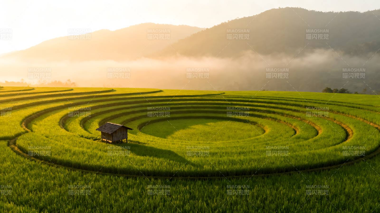 梯田晨曦图片