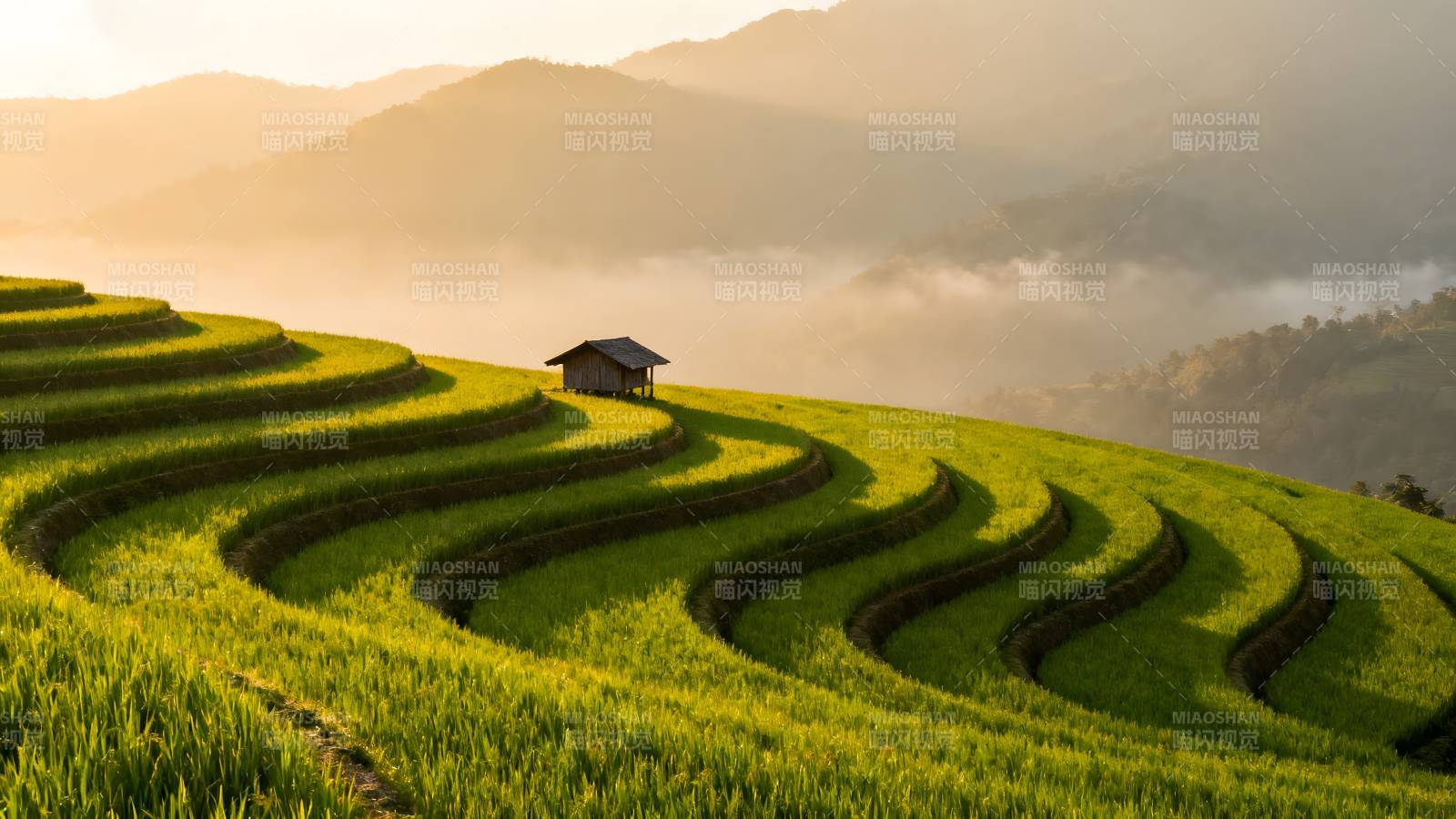 梯田晨曦图片