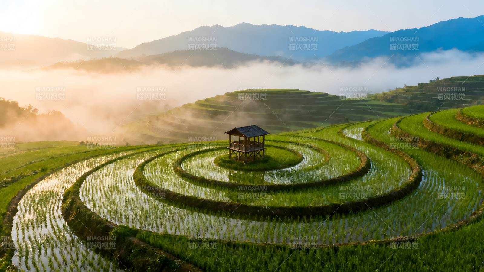 梯田晨雾中的小亭图片