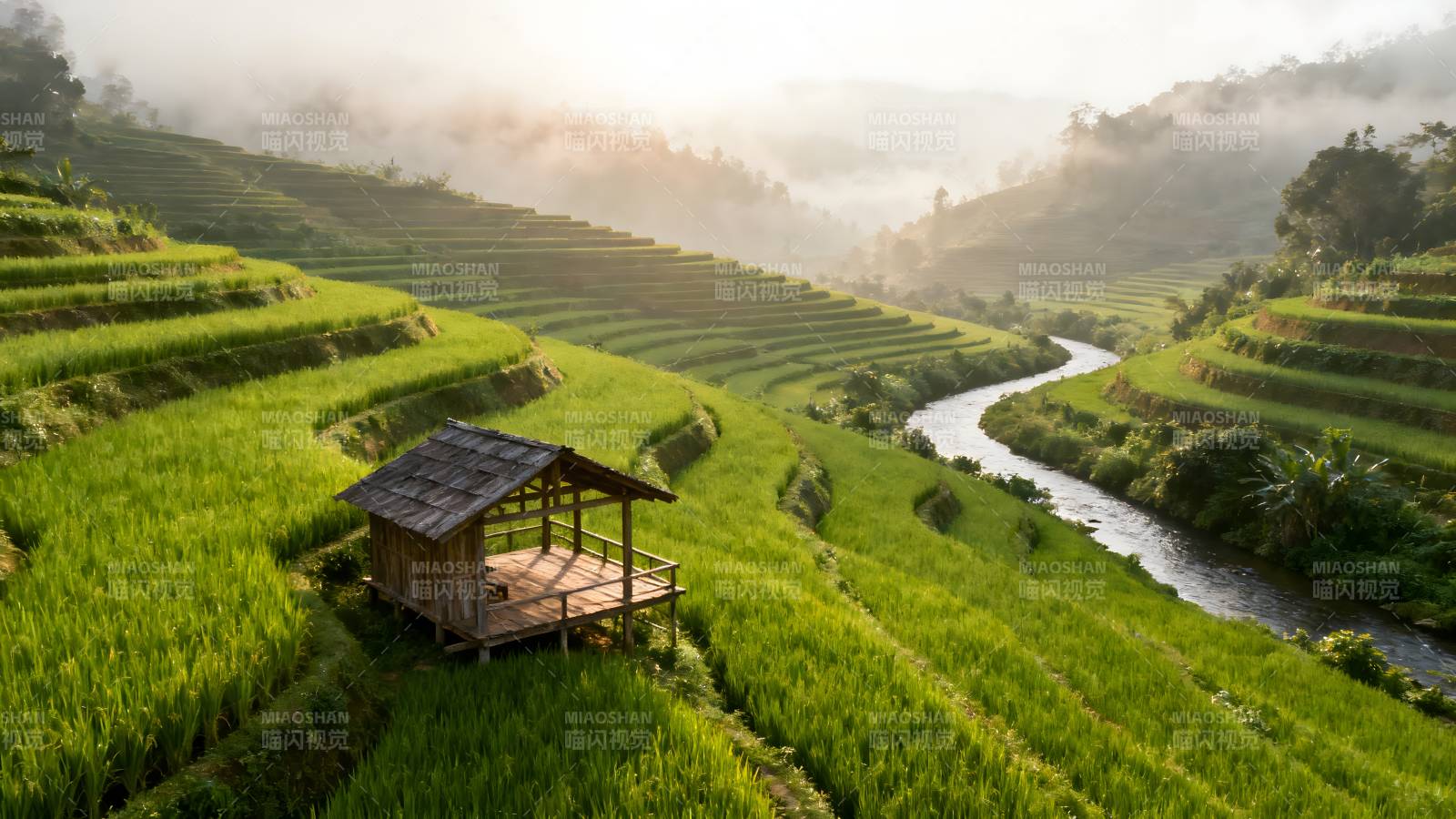 梯田晨曦小屋图片