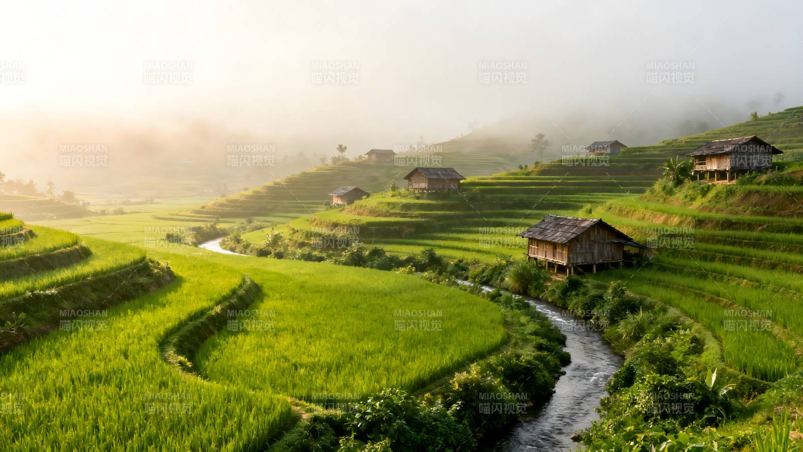 梯田晨雾风光图片
