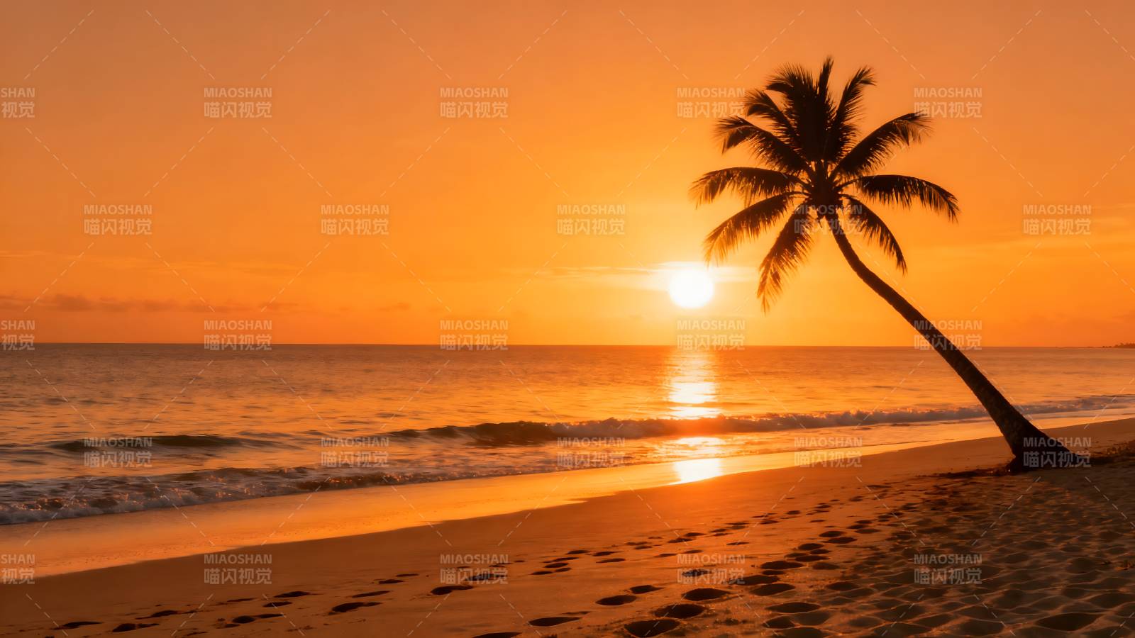 夕阳椰影海滩图片