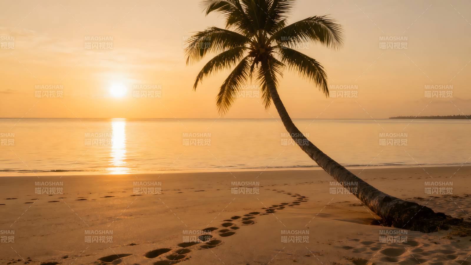 夕阳椰影沙滩图片