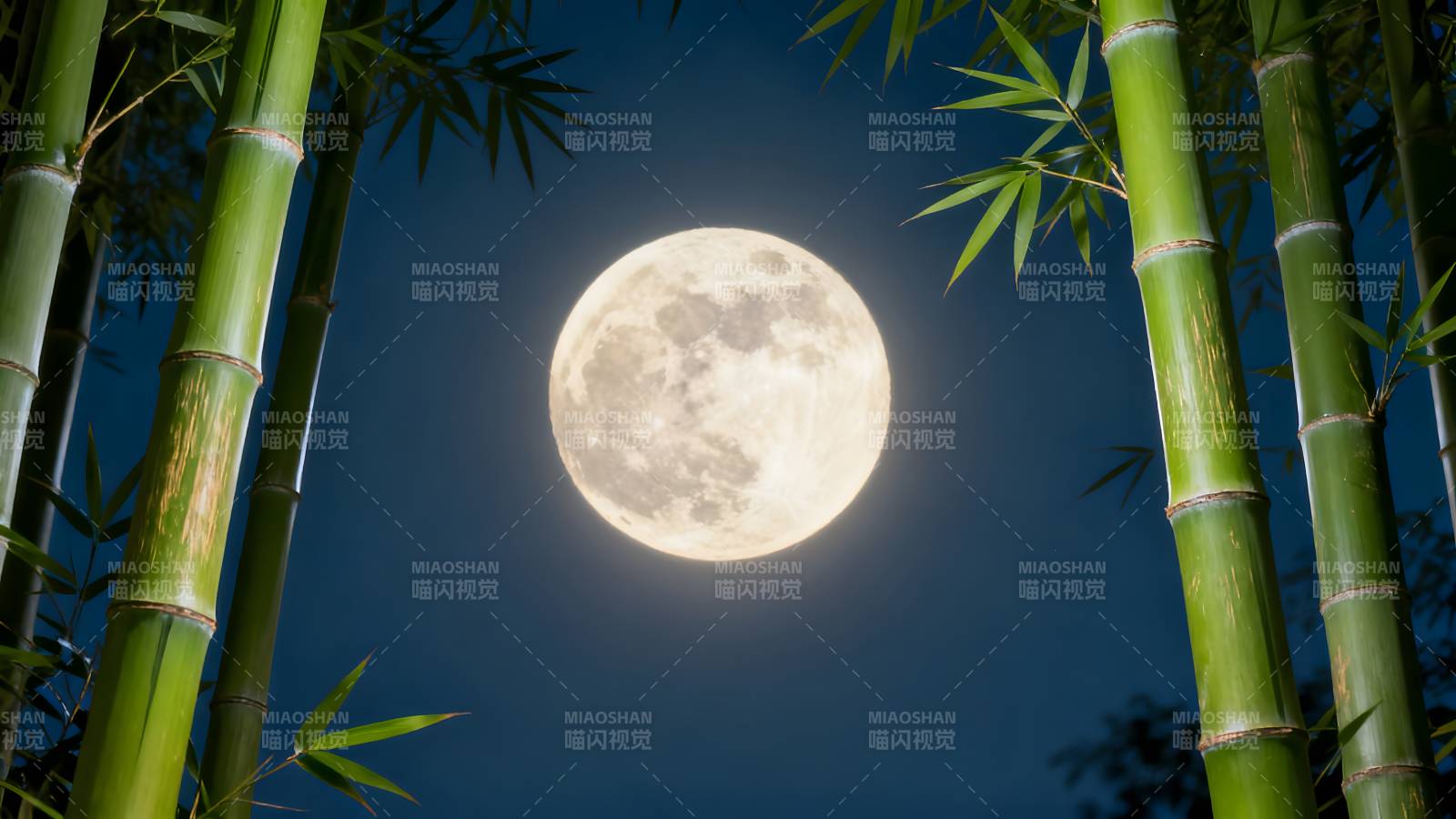 竹影映月夜图片