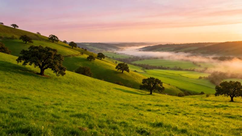 晨曦绿野风光图片