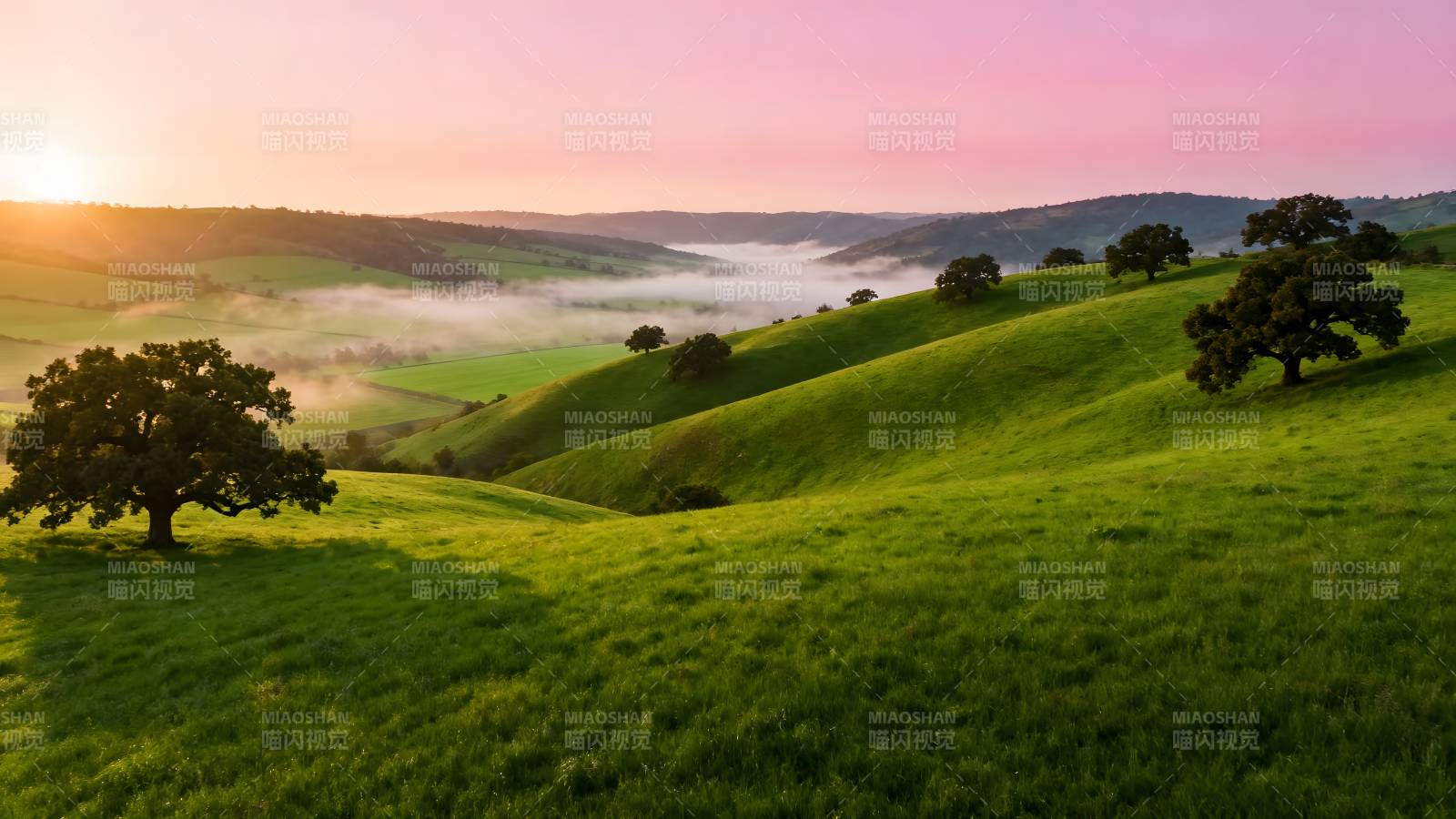 晨曦绿野风光图片