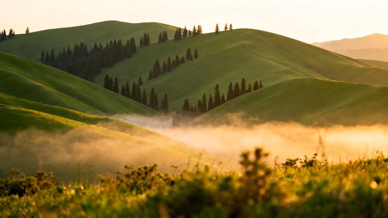 晨雾缭绕青山图片