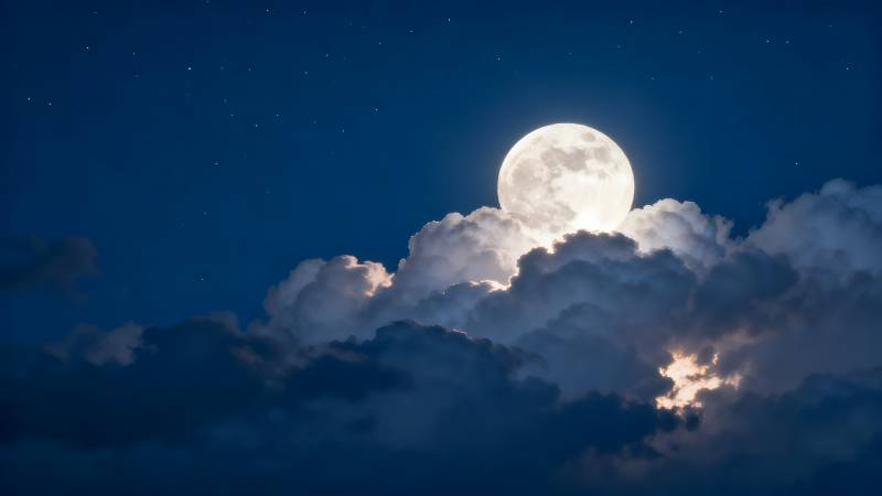 明月穿云夜图片