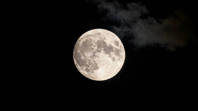 明月高悬夜空图片