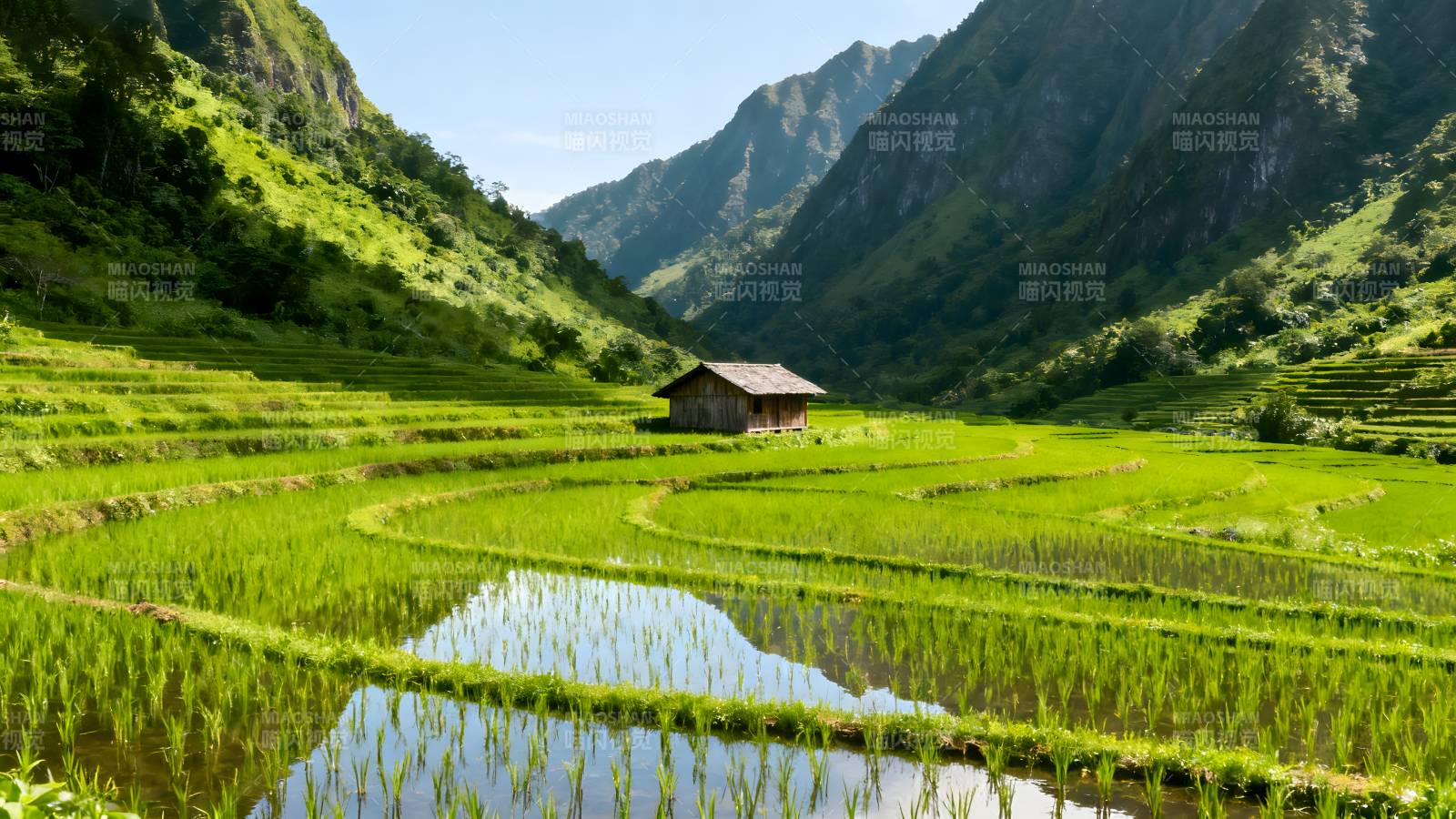 梯田山水画图片