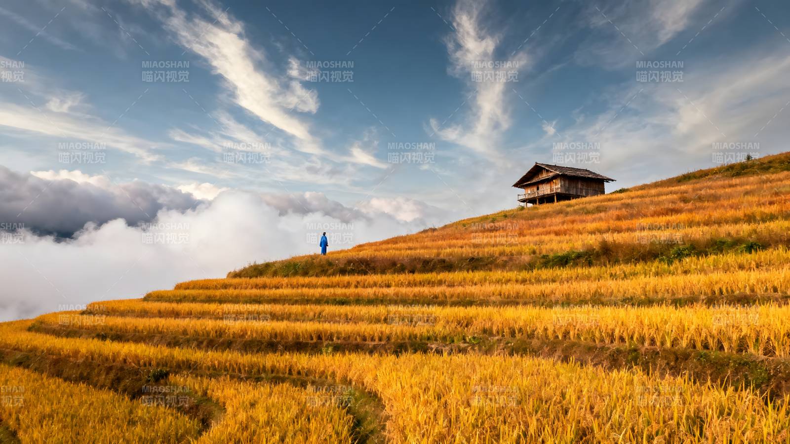 梯田秋色云海间图片