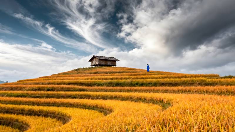 金秋梯田人家图片