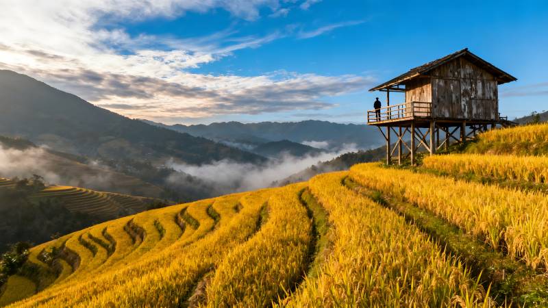 梯田晨曦小屋图片