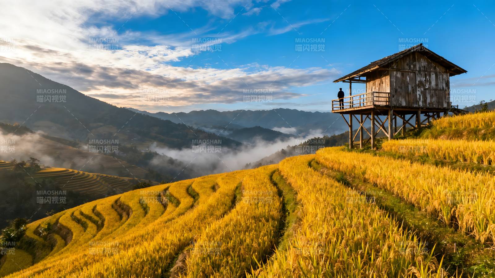 梯田晨曦小屋图片